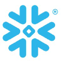Snowflake Partner